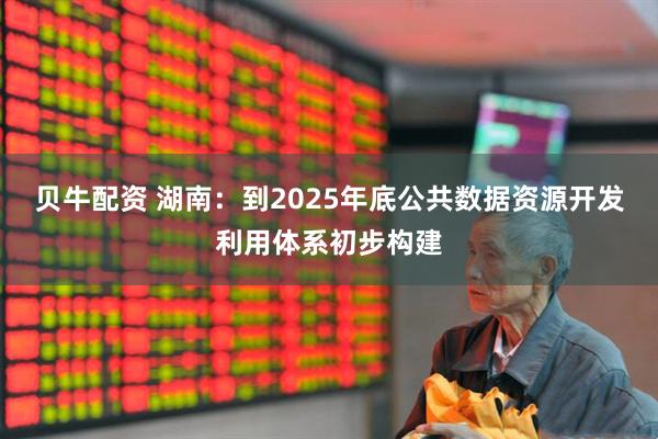 贝牛配资 湖南：到2025年底公共数据资源开发利用体系初步构建