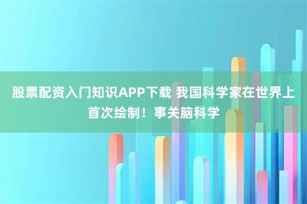 股票配资入门知识APP下载 我国科学家在世界上首次绘制！事关脑科学