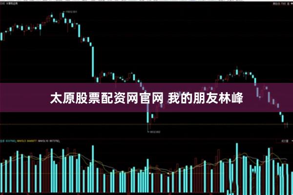 太原股票配资网官网 我的朋友林峰