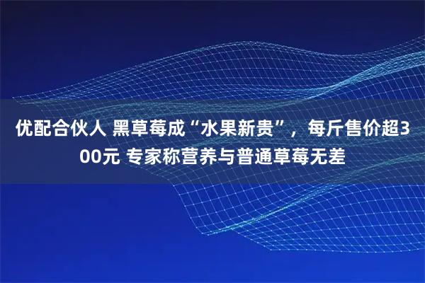 优配合伙人 黑草莓成“水果新贵”，每斤售价超300元 专家称营养与普通草莓无差