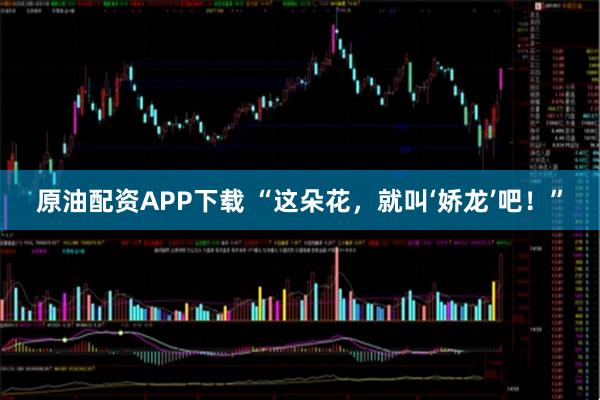 原油配资APP下载 “这朵花，就叫‘娇龙’吧！”